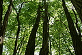 DSC00391 - Bernhard Saalfeld