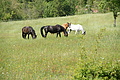 DSC00395 - Bernhard Saalfeld