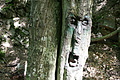 DSC00407 - Bernhard Saalfeld