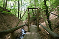 DSC00408 - Bernhard Saalfeld