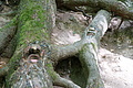 DSC00409 - Bernhard Saalfeld