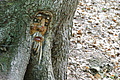 DSC00412 - Bernhard Saalfeld