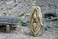 DSC00416 - Bernhard Saalfeld