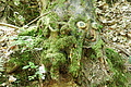 DSC00418 - Bernhard Saalfeld