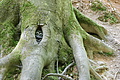 DSC00419 - Bernhard Saalfeld