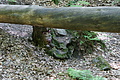 DSC00421 - Bernhard Saalfeld