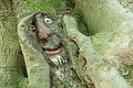 DSC00423 - Bernhard Saalfeld