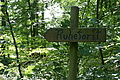 DSC00424 - Bernhard Saalfeld