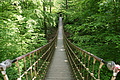 DSC00432 - Bernhard Saalfeld