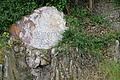 DSC00434 - Bernhard Saalfeld