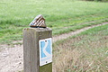 DSC00452 - Bernhard Saalfeld