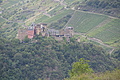 DSC00453 - Bernhard Saalfeld
