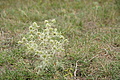 DSC00457 - Bernhard Saalfeld