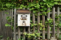 DSC00515 - Bernhard Saalfeld