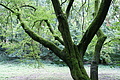 DSC00522 - Bernhard Saalfeld
