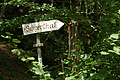 DSC00526 - Bernhard Saalfeld