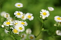DSC00527 - Bernhard Saalfeld