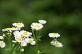 DSC00531 - Bernhard Saalfeld