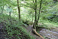 DSC00532 - Bernhard Saalfeld
