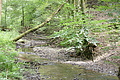 DSC00533 - Bernhard Saalfeld