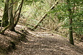 DSC00540 - Bernhard Saalfeld