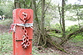 DSC00542 - Bernhard Saalfeld