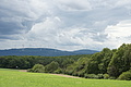 DSC00547 - Bernhard Saalfeld