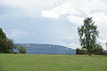 DSC00551 - Bernhard Saalfeld