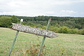 DSC00552 - Bernhard Saalfeld