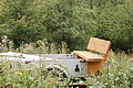 DSC00553 - Bernhard Saalfeld