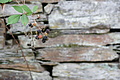 DSC00555 - Bernhard Saalfeld
