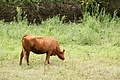 DSC00556 - Bernhard Saalfeld
