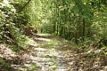 DSC00560 - Bernhard Saalfeld