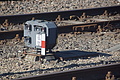 DSC01698 - Bernhard Saalfeld