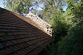 DSC01710 - Bernhard Saalfeld