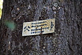 DSC01712 - Bernhard Saalfeld