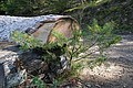 DSC01718 - Bernhard Saalfeld