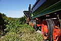 DSC01740 - Bernhard Saalfeld