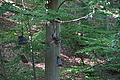 DSC01745 - Bernhard Saalfeld