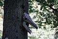 DSC01754 - Bernhard Saalfeld