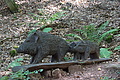 DSC01755 - Bernhard Saalfeld