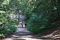 DSC01759 - Bernhard Saalfeld