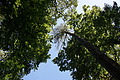 DSC01760 - Bernhard Saalfeld