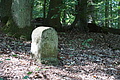 DSC01765 - Bernhard Saalfeld
