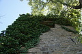 DSC01781 - Bernhard Saalfeld
