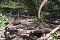 DSC01788 - Bernhard Saalfeld