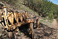 DSC01793 - Bernhard Saalfeld