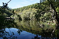 DSC01798 - Bernhard Saalfeld