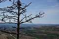 DSC01814 - Bernhard Saalfeld