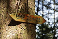 DSC01816 - Bernhard Saalfeld